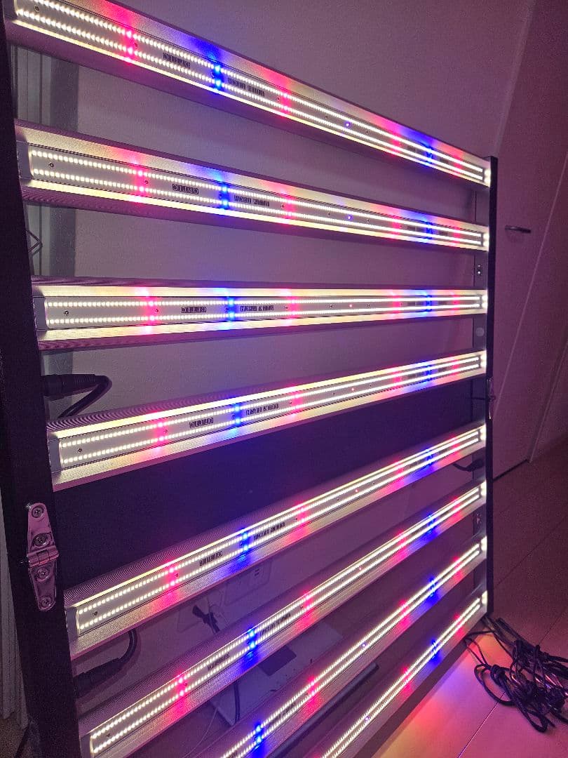 Optic SLIM 650S LEDライト