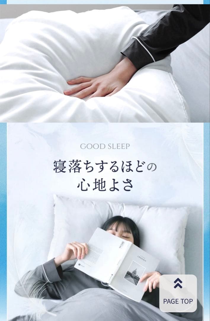 Nelture ふとんでまくら　カバー付き 新品