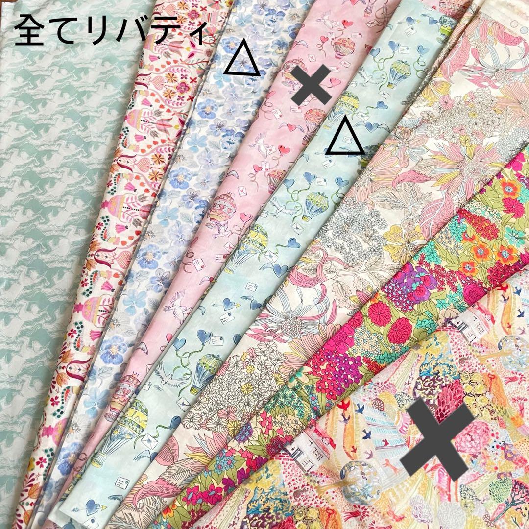 cedarページマルゴー17サイズバッグインバッグ