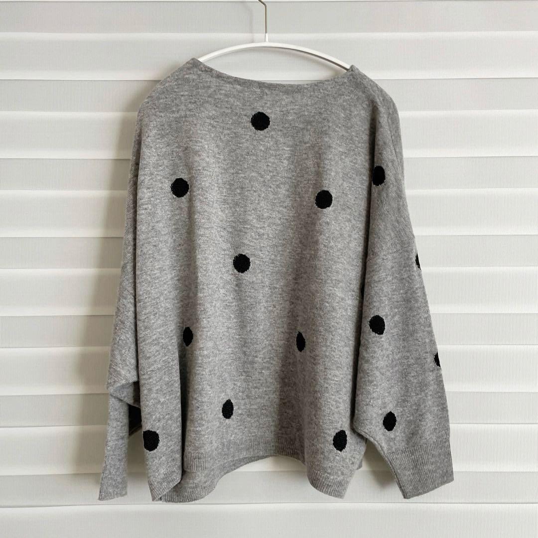 ビアズリー　ラメドットプルオーバー