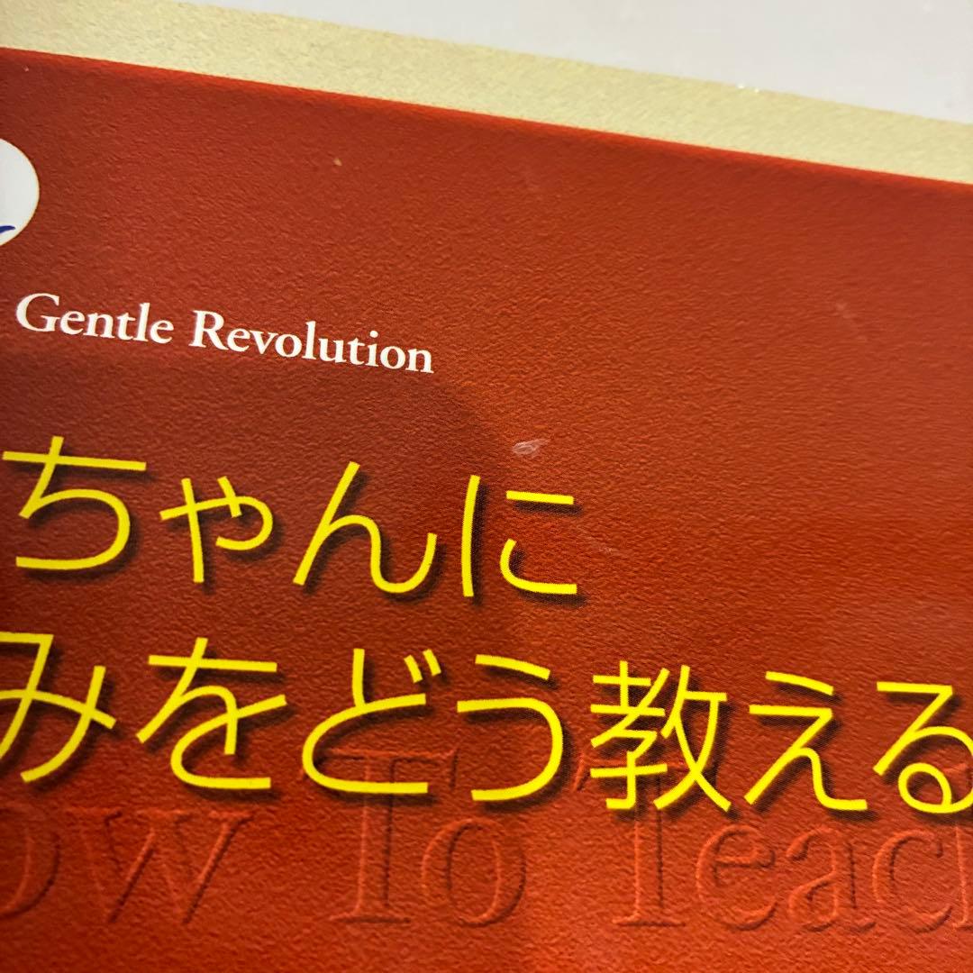 家庭保育園 ドーマンメソッド ドッツカード 書籍 DVD 脳活性化訓練カード