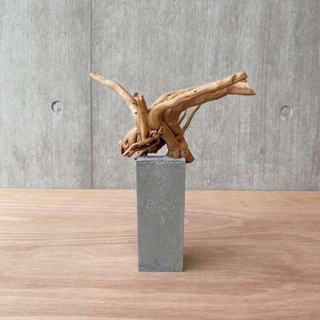 コンクリート盆栽 (m E ) 流木 オブジェ ディスプレイ 高級感