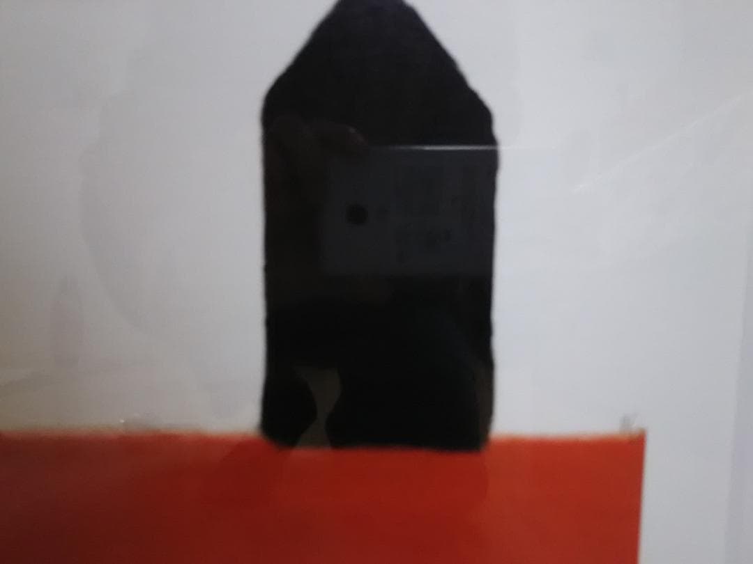 マッケンジーソープ　版画　I hope they're in