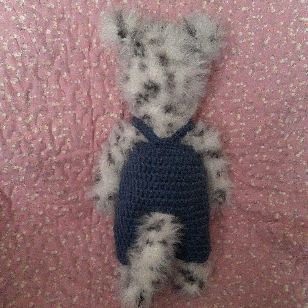 チャルリズです。　猫　ホワイトタイガー