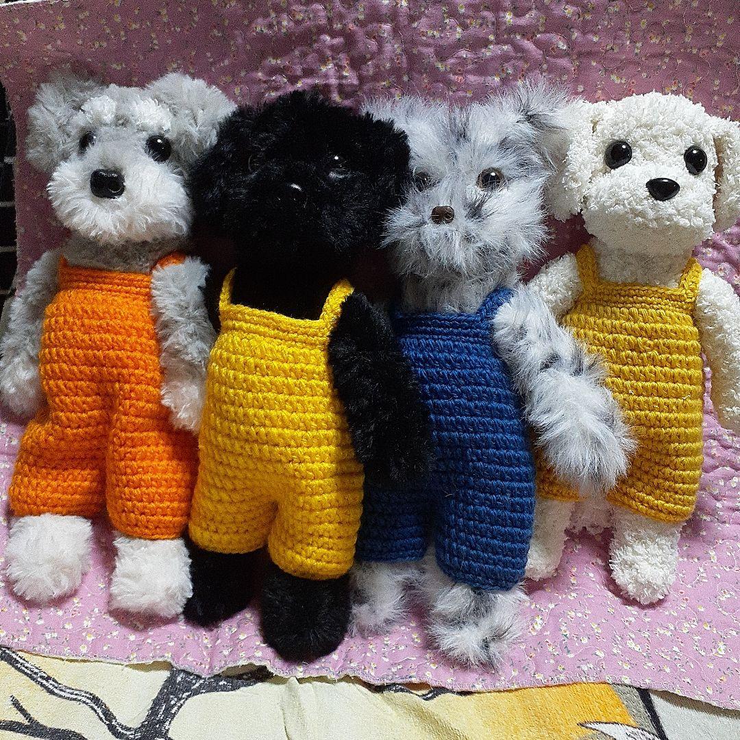 チャルリズです。　猫　ホワイトタイガー