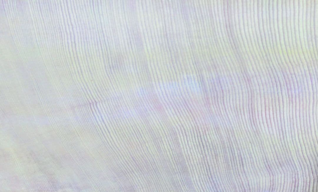 碁石　碁盤セット