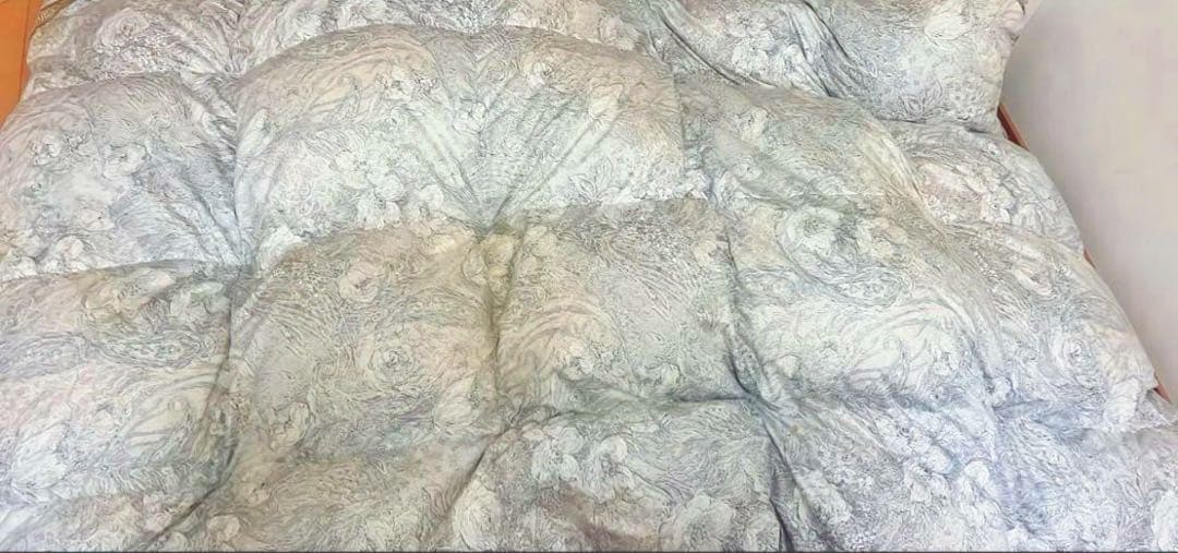 西川羽毛布団　ダウン95%、フェザー5%