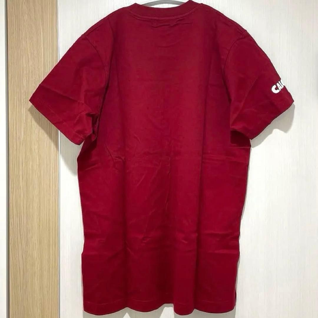 【希少】 バティストゥータ トッティ Tシャツ ローマ CALCIO 2002年