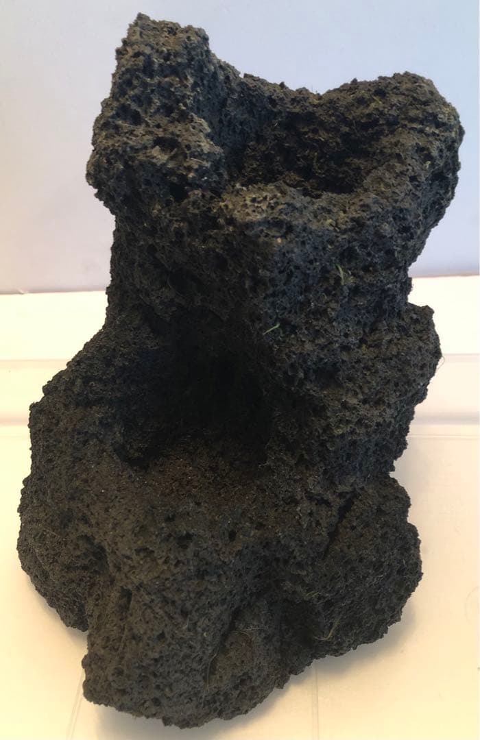 ADA アクアデザインアマノ 雲山石　穴2ヶ所