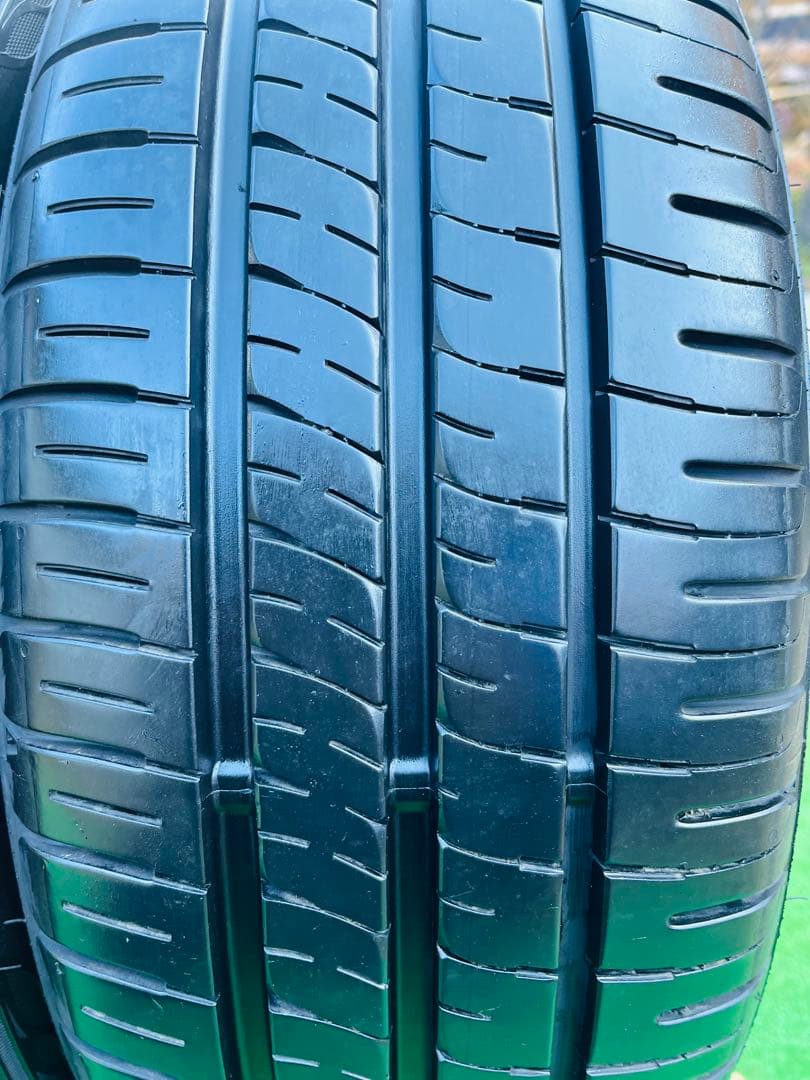 195/55 R16 .DUNLOP ENASAVE EC204 .2025 年