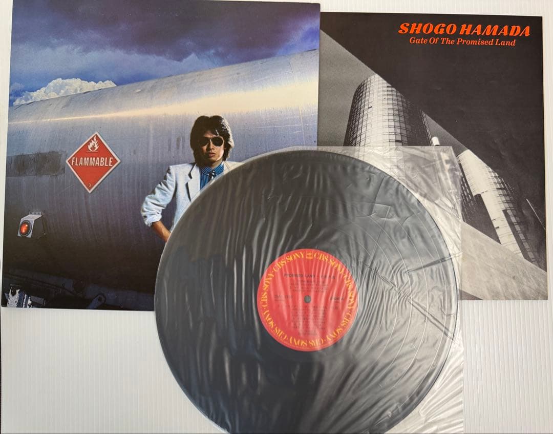 こ*う様 浜田省吾 レコードセット 13枚セット