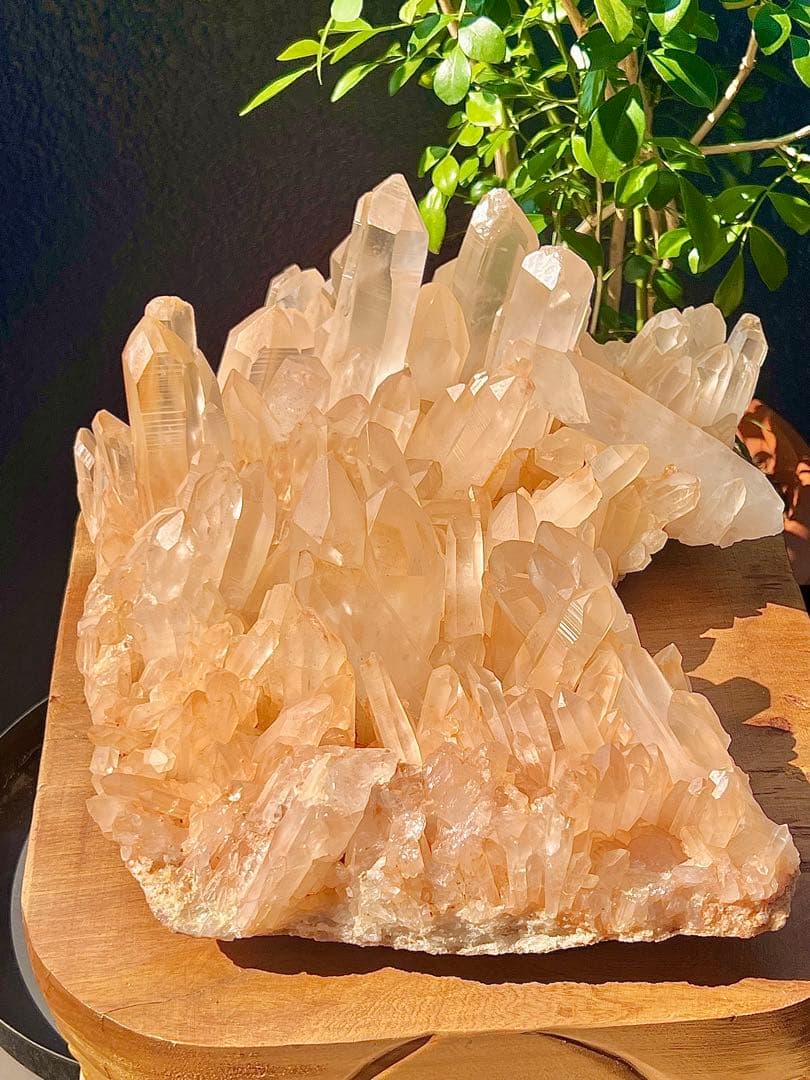 超BIG ヒマラヤ水晶　天然ピンク　マニカラン産　クラスター【6.8㌕】　置物