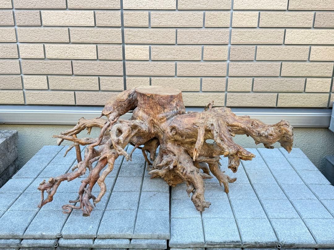 【送料込み】一点モノ★流木　置物　猪　オブジェ　ドリフトウッド　インテリア