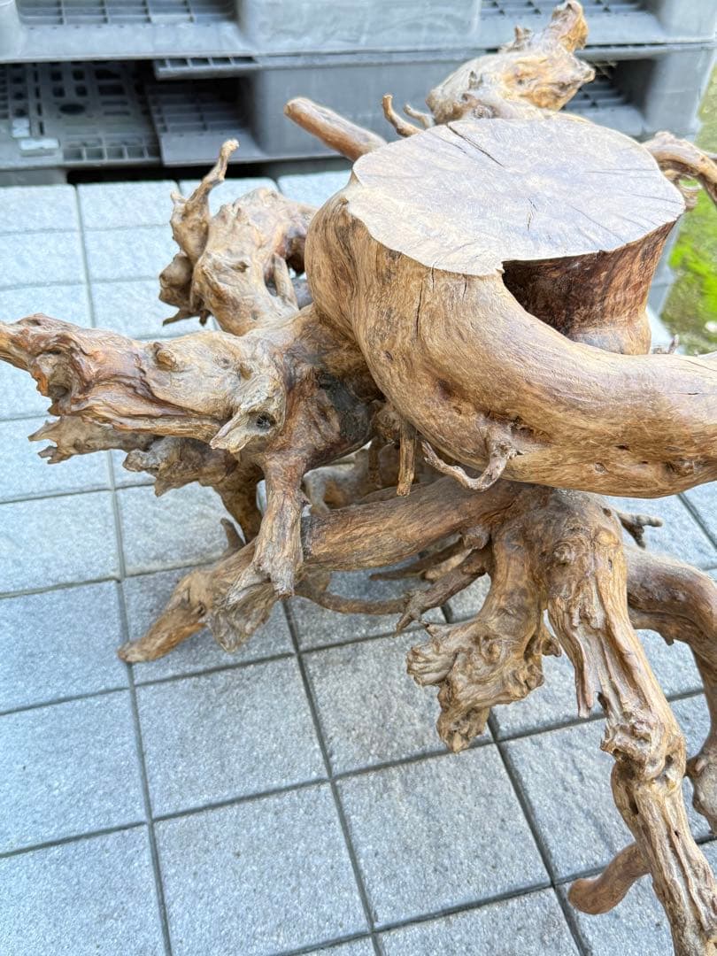 【送料込み】一点モノ★流木　置物　猪　オブジェ　ドリフトウッド　インテリア