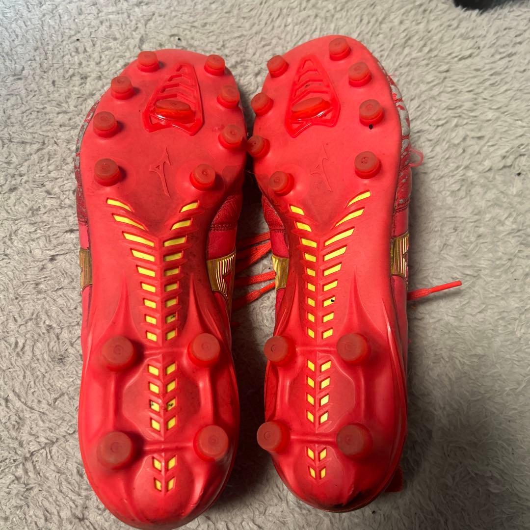 モレリアneo4Japan