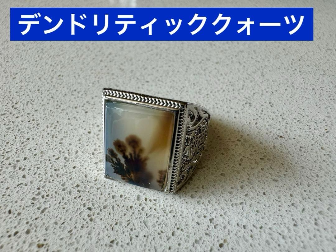 【高品質】デンドリティッククォーツのリング　シルバーS925 超レア