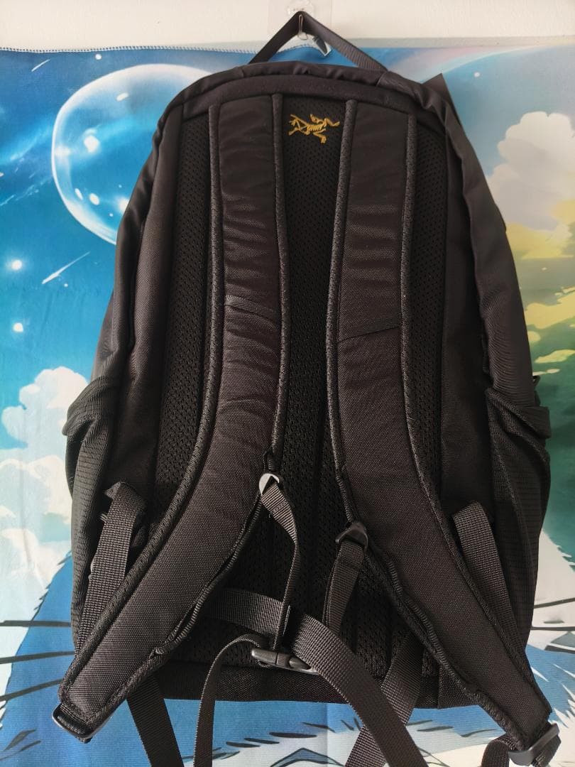 Arc'teryx Mantis 26 Backpack ブラック