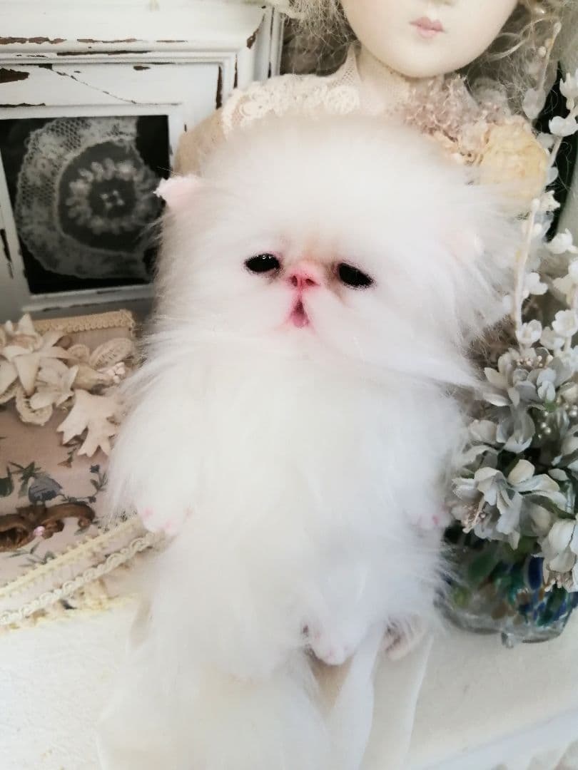 ポッケにゃん♡ベビー♡子猫ちゃん♡アートドール♡ぬいぐるみ♡