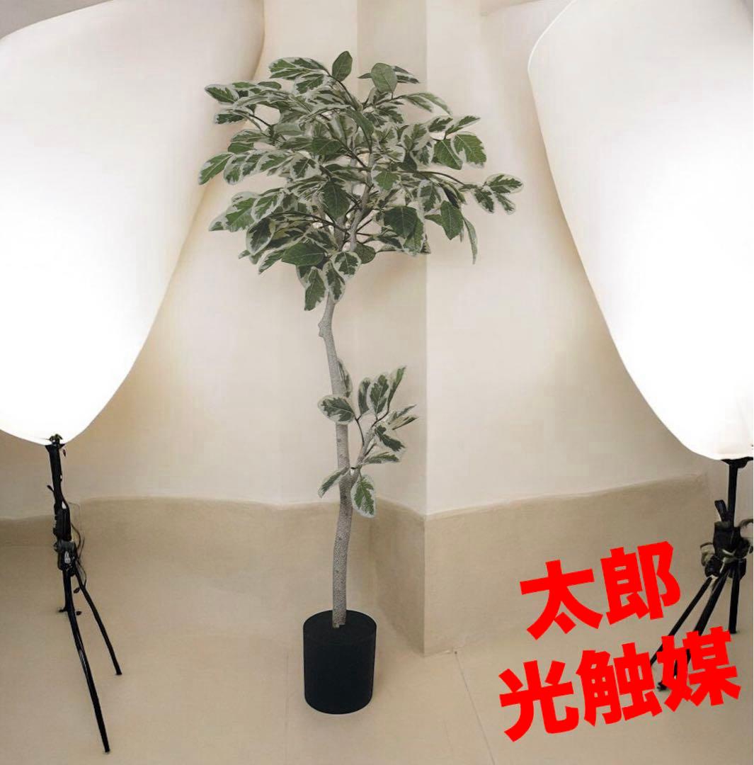 光触媒　人工観葉植物　ウォールグリーン　フェイクグリーン　アルテシマ160