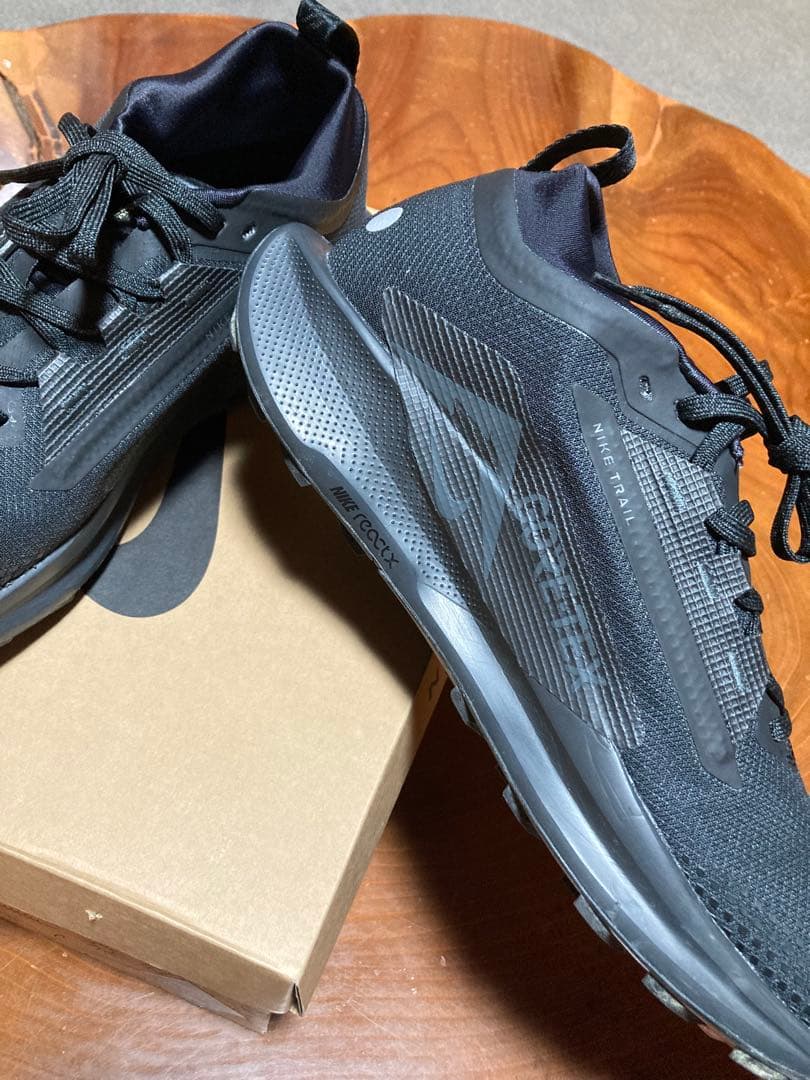 NIKE ペガサストレイル5 GTX 28㎝　US10 ゴアテックス