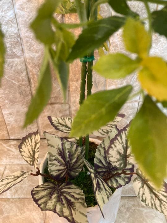 光触媒　人工観葉植物　造花　ウォールグリーン　ゴールデンリーフ54