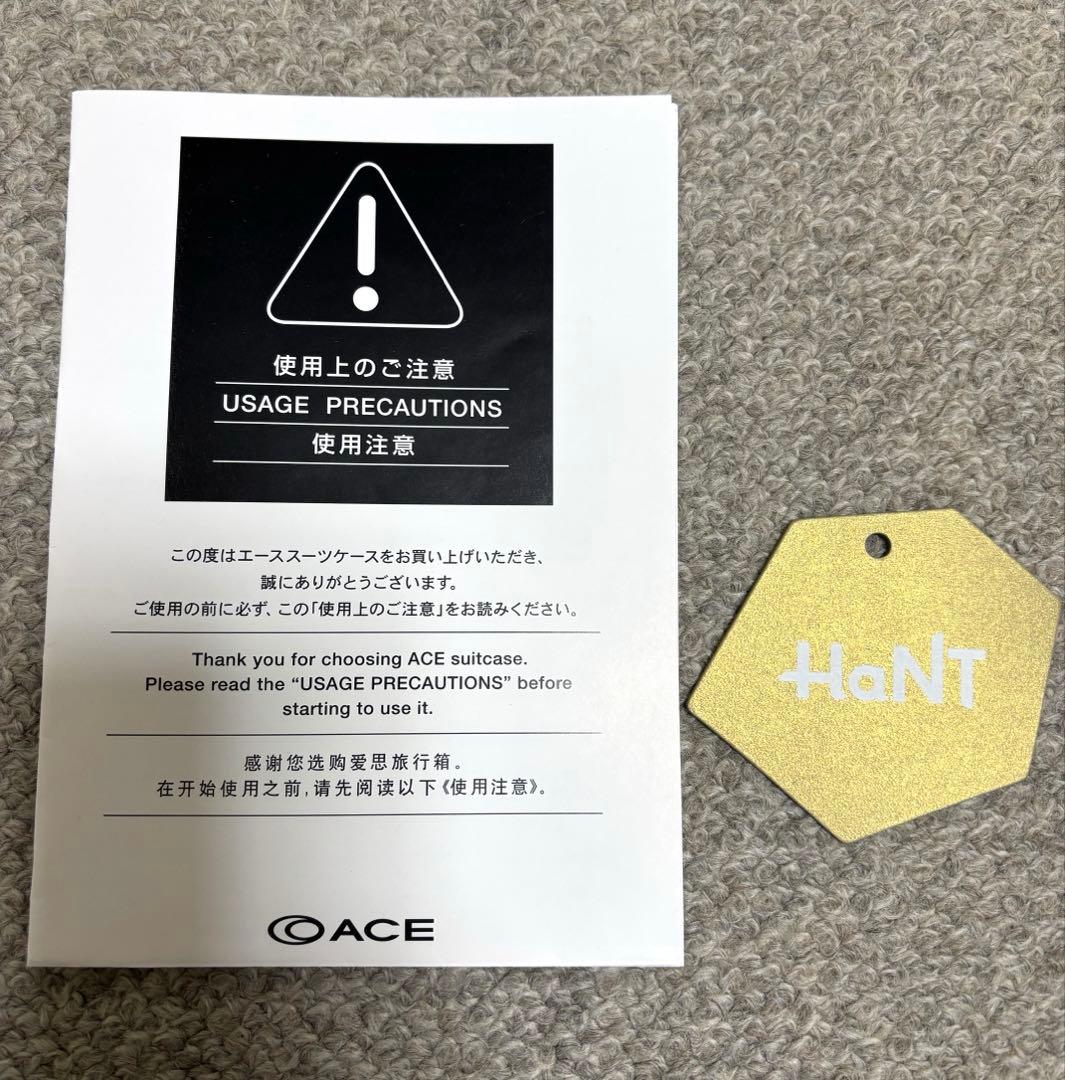 ACE HaNT mine スーツケース ハントマイン アイボリー 75L