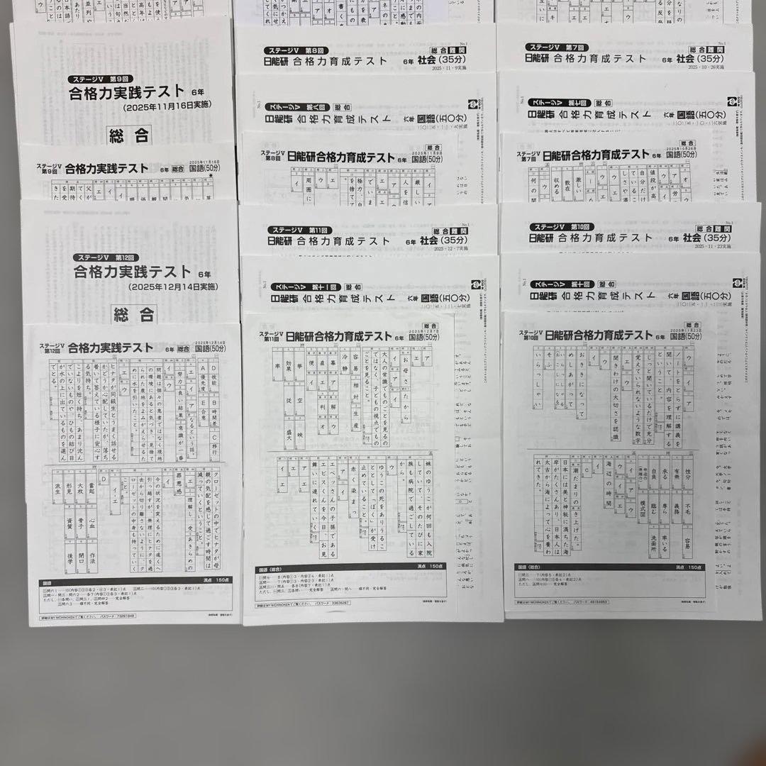 [25年最新] 日能研6年 後期合格力育成 合格力実践テスト12回分(Mクラス)