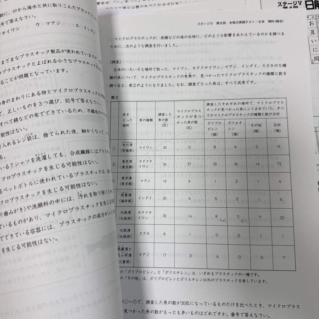 [25年最新] 日能研6年 後期合格力育成 合格力実践テスト12回分(Mクラス)