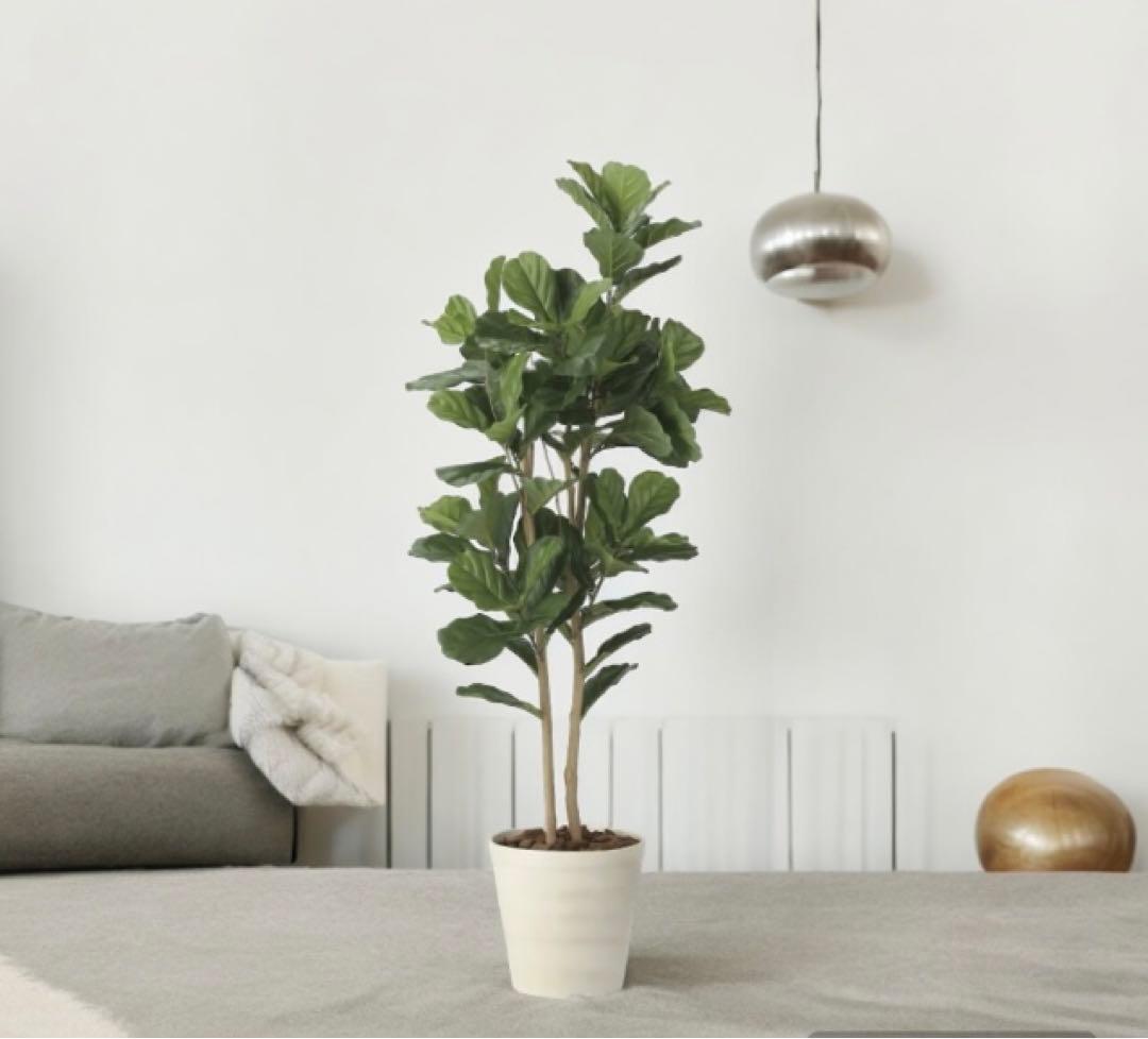 光触媒　人工観葉植物　ウォールグリーン　フェイクグリーン　カシワバゴム1.8