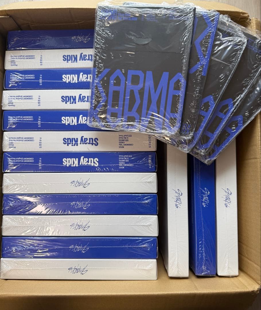 Stray Kids スキズ karma 通常盤 新品未開封 20枚セット