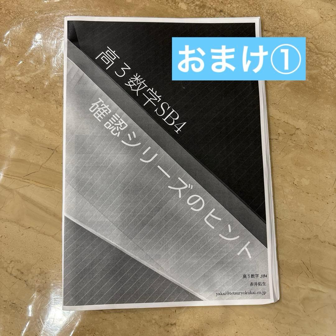 高3 理系数学　入試数学確認シリーズ ⭐️おまけつき