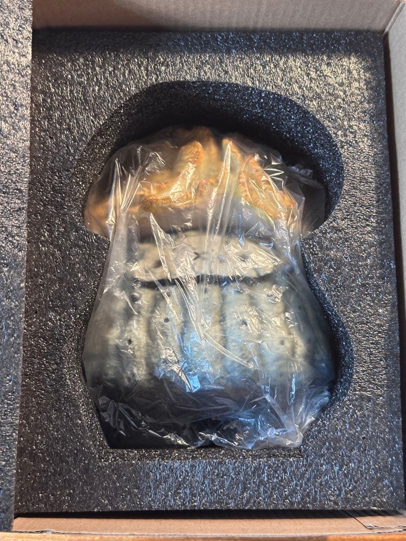 羅本製所 COPIAPOA CINEREA FLOWER SEASON