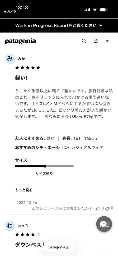 Patagonia ウィメンズ・ダウン・セーター・ベスト　Mサイズ