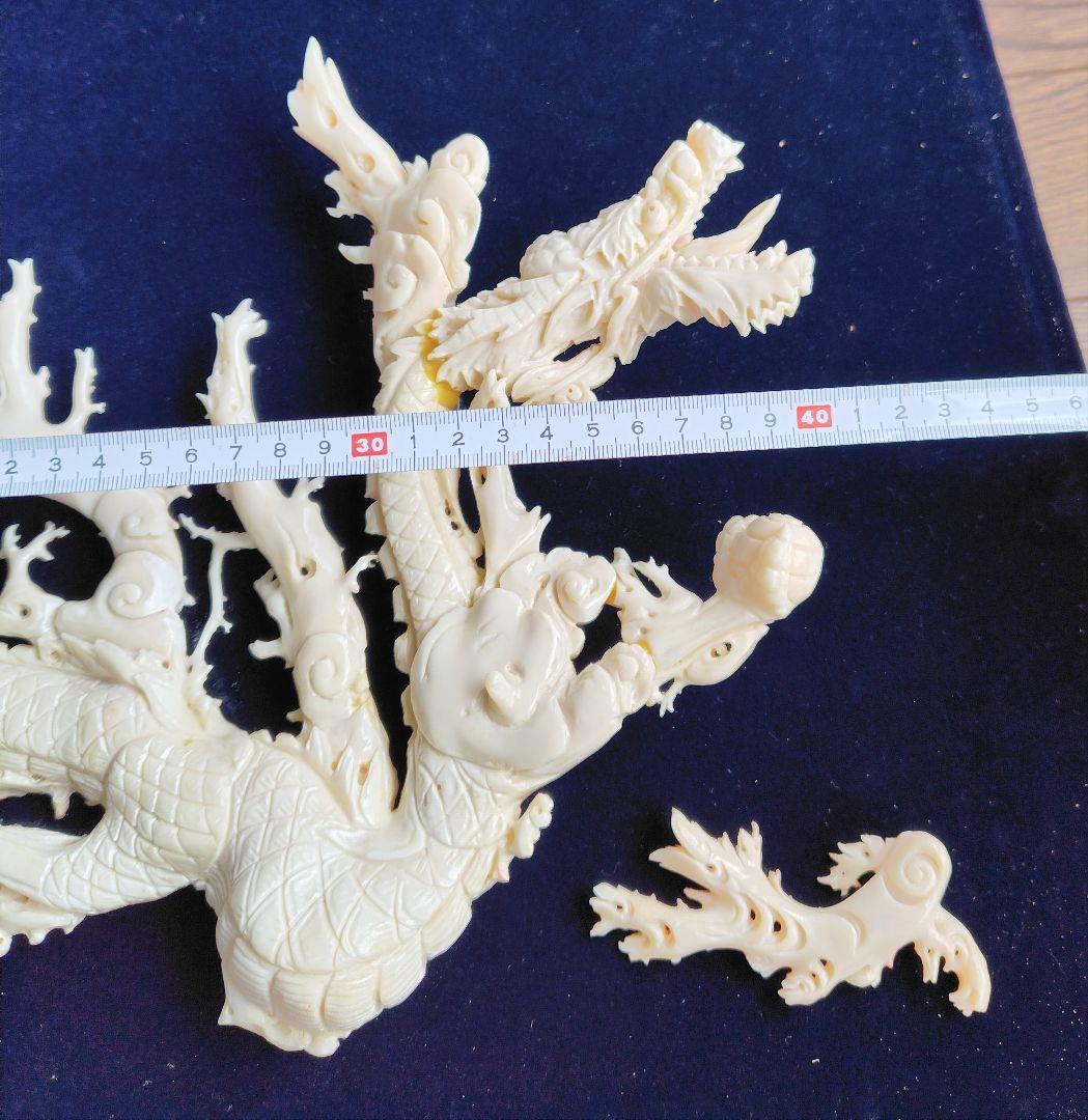 サンゴ 彫刻　土佐 高知沖 コーラルサンゴ額入り 龍 約70cm補修 箇所あり