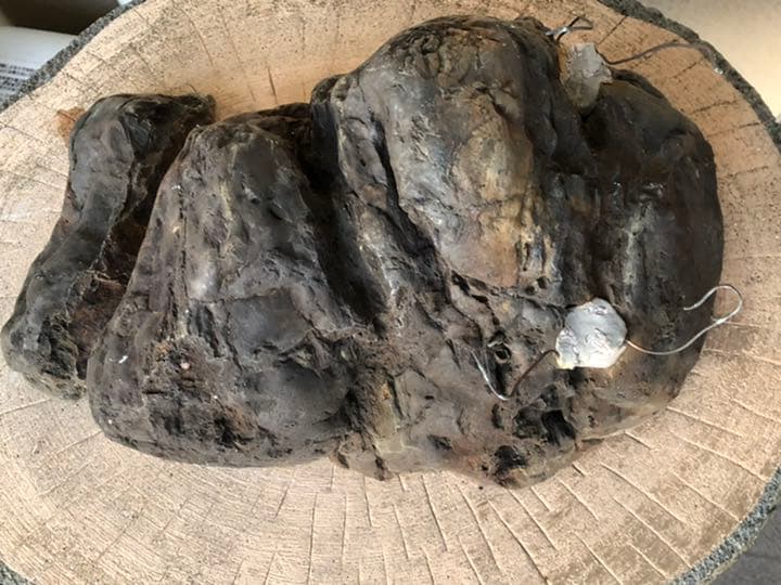 素晴らしい盆栽の石(石付きのおすすめです)