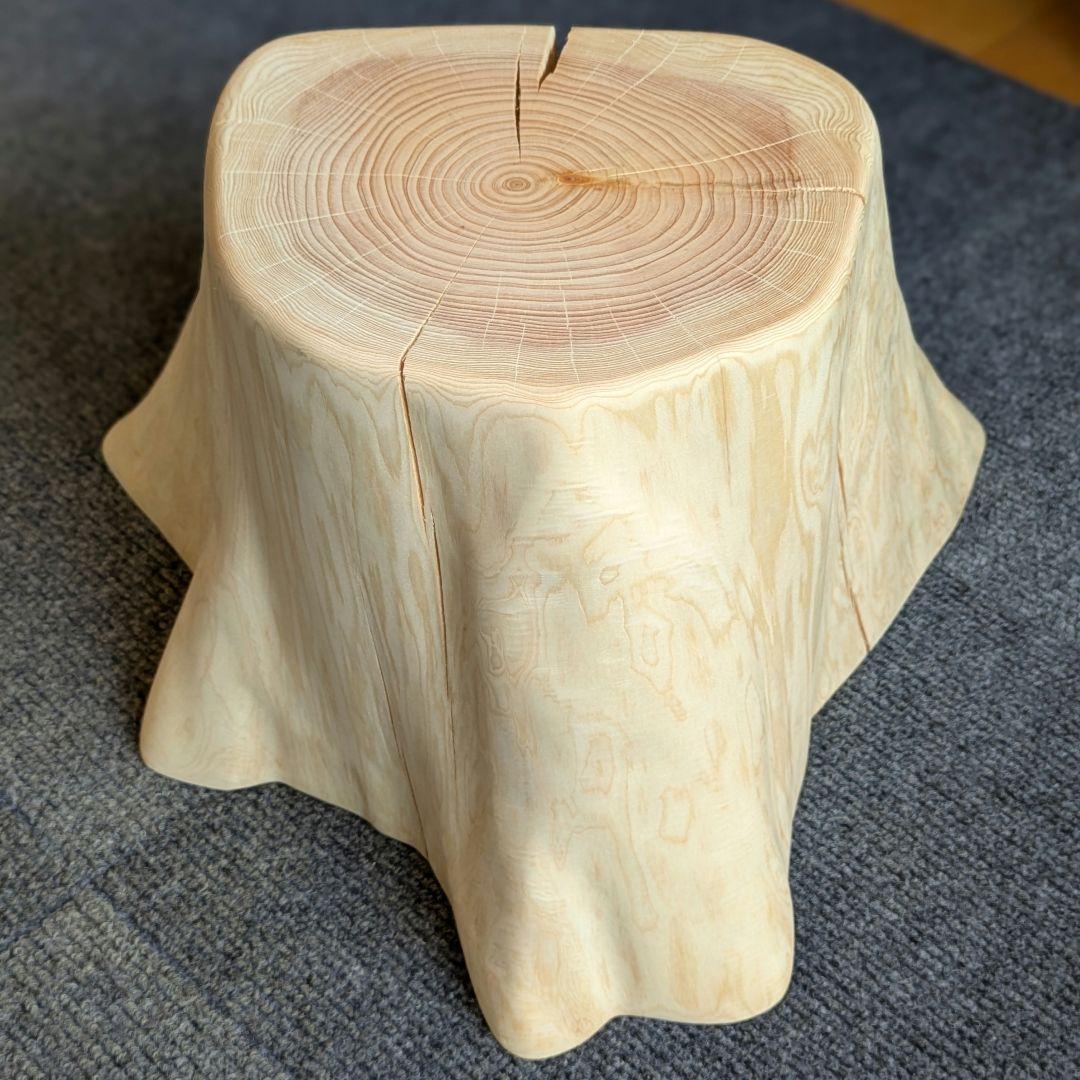 檜　切り株　高さ約19.5㎝