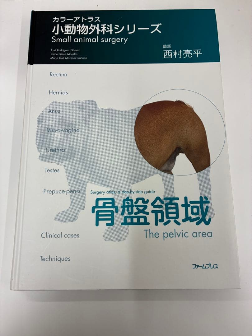 獣医 カラーアトラス小動物外科シリーズ 骨盤領域