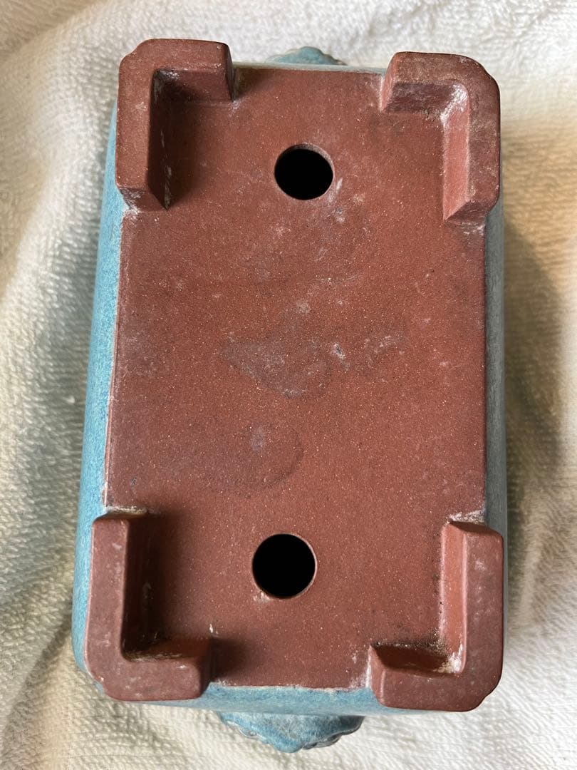 盆栽鉢珍品