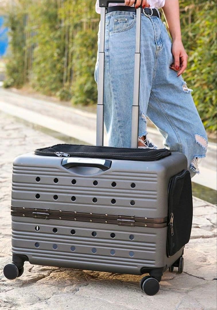 ダークグレー キャリーバッグ