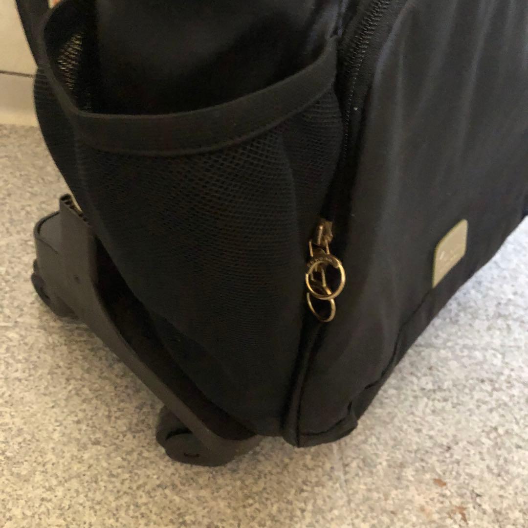 カナナプロジェクト キャリー