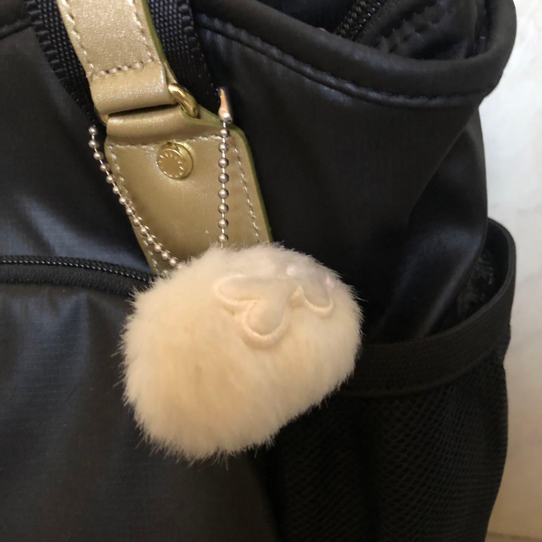 カナナプロジェクト キャリー