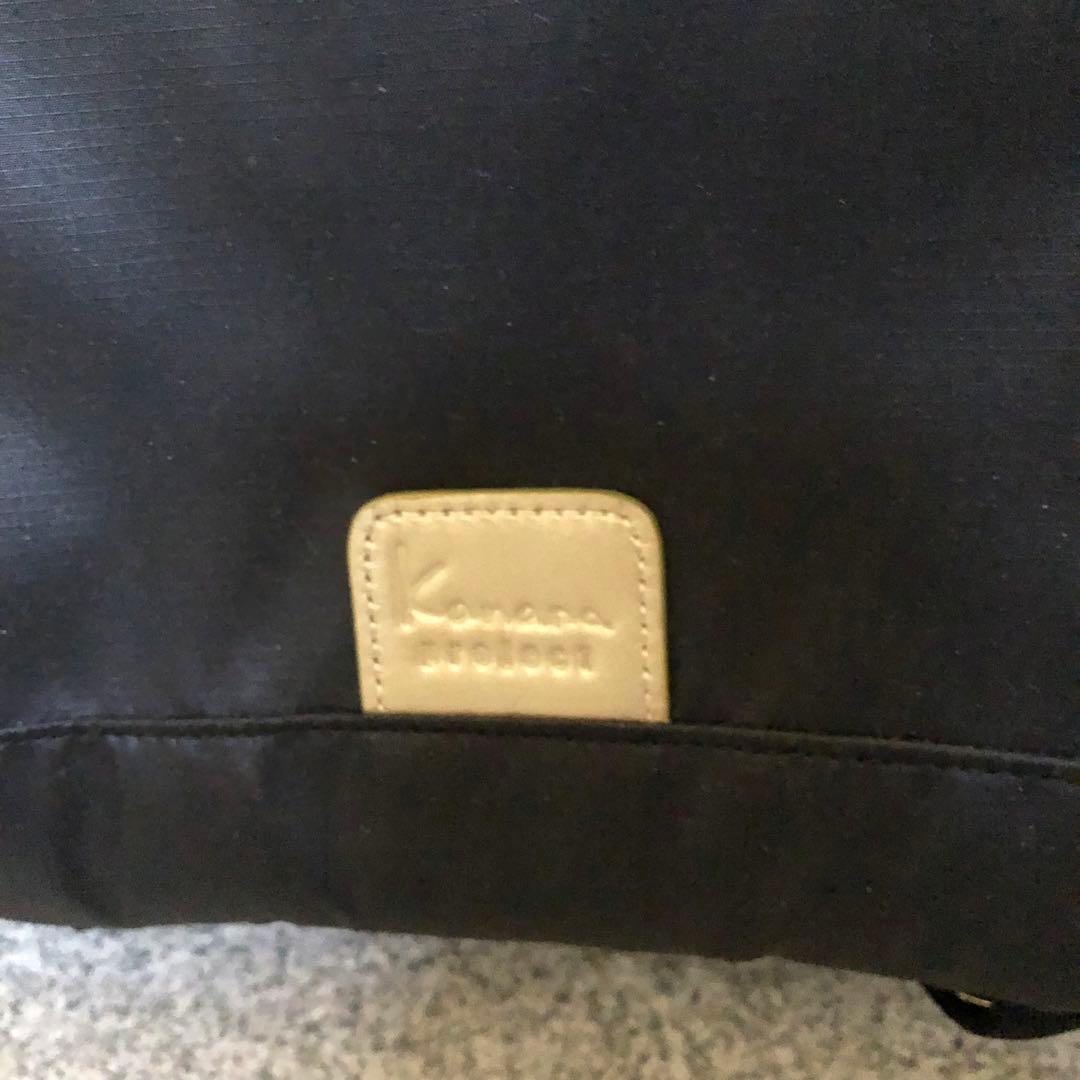 カナナプロジェクト キャリー