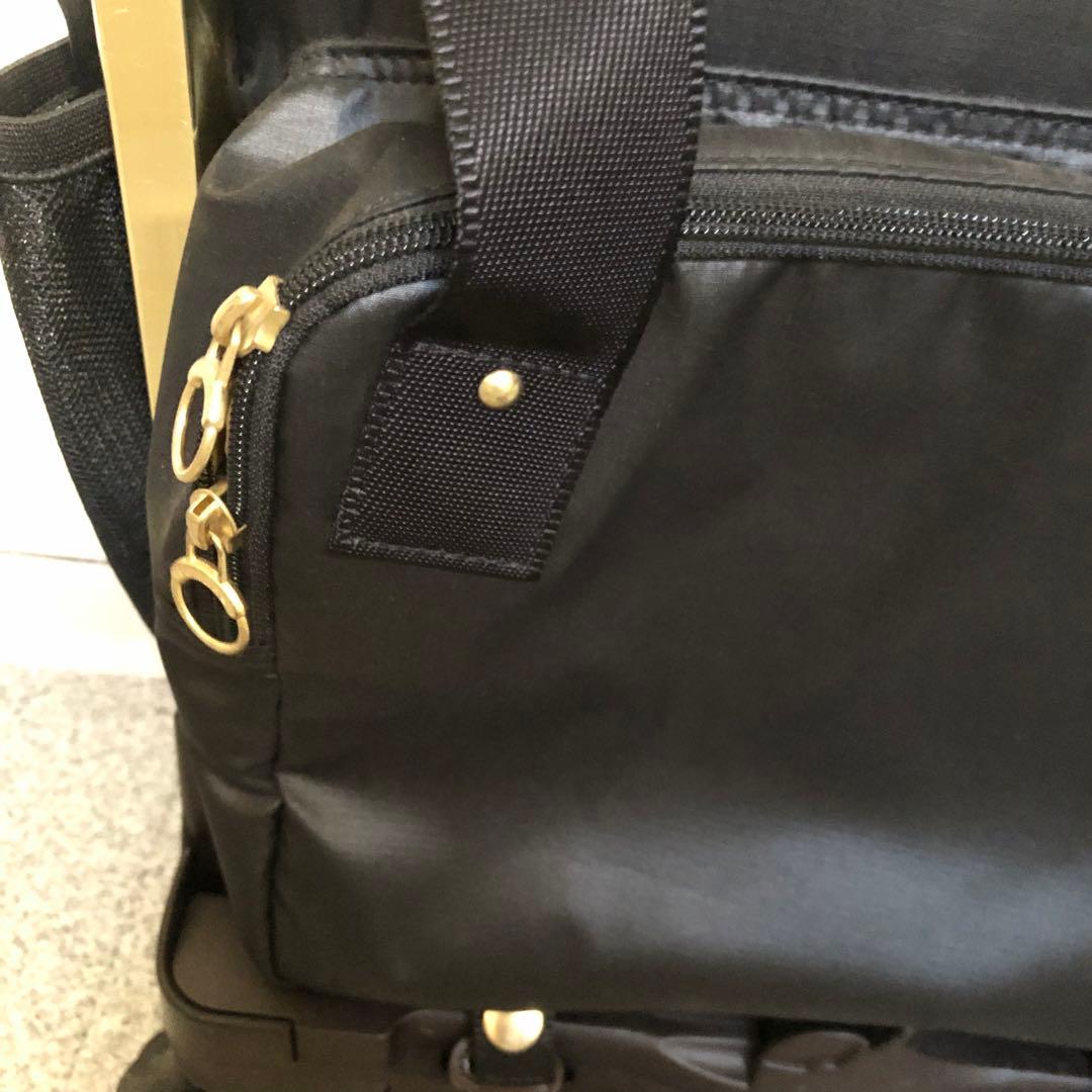 カナナプロジェクト キャリー