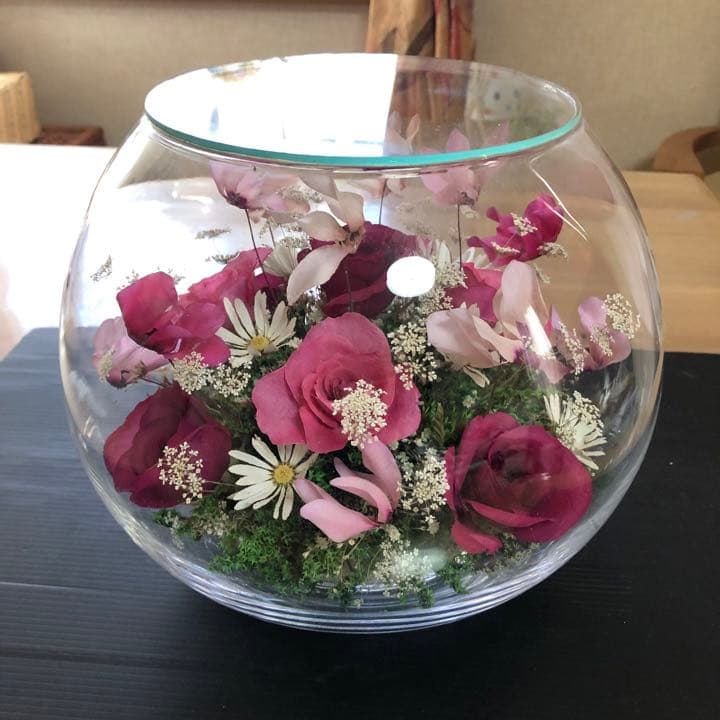 最高級レンデフロール薔薇 蘭　大サイズ