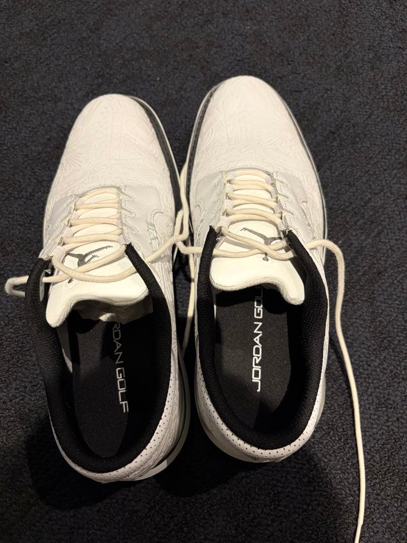 NIKE Jordan ADG5 ゴルフシューズ 26.5