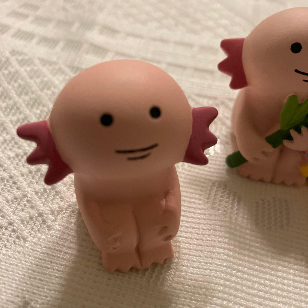 ウーパーセット