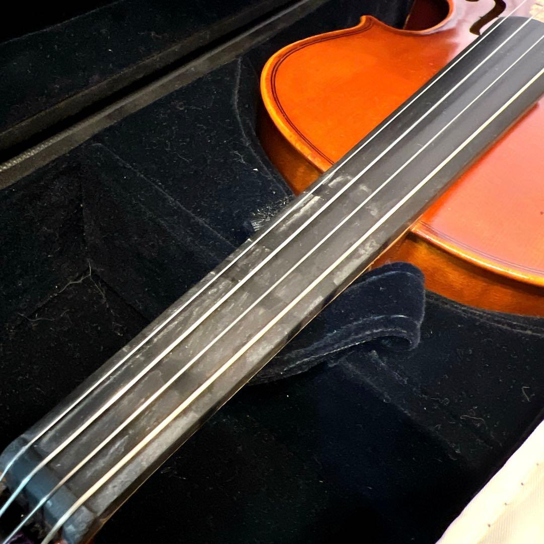 【良品】Andreas Eastman VL80 1/4 2021年製