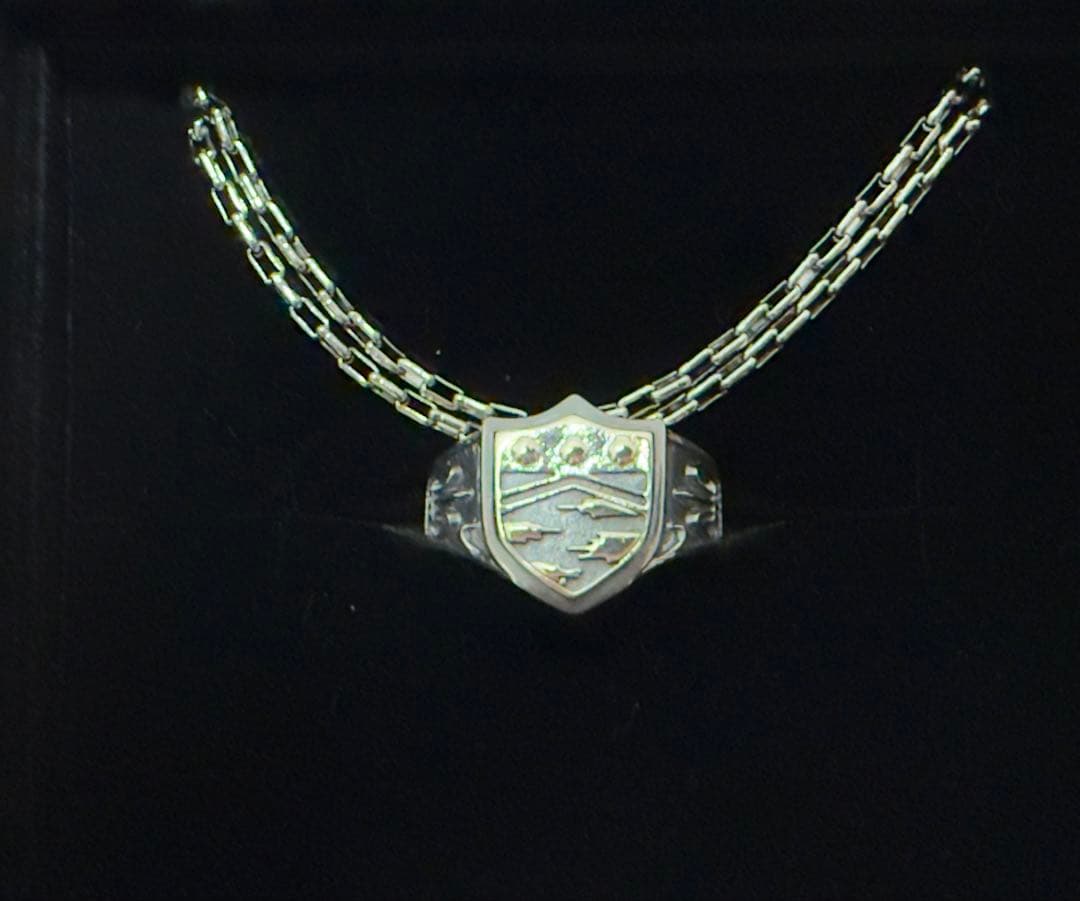 家庭教師ヒットマンREBORN! ボンゴレリング 霧のリング 25号