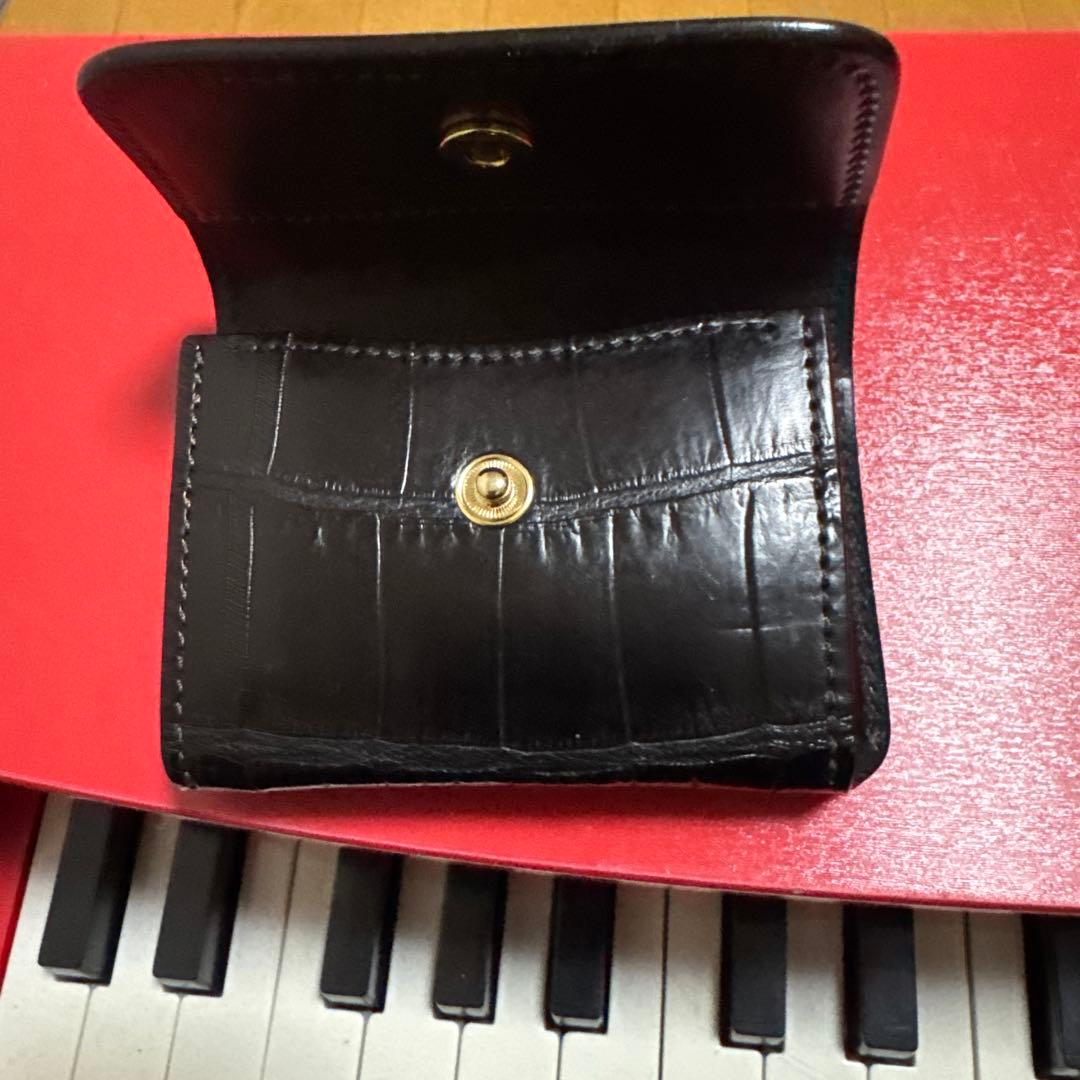 ワイルドスワンズ　　クロコ　アーサー