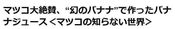 処分◆世界で2番目と記事◆180㎝耐寒強◆ドワーフ・ライチバナナ◆食味優秀AAA